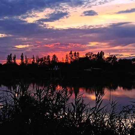 Locazione Mimosa Con Giardino 3*