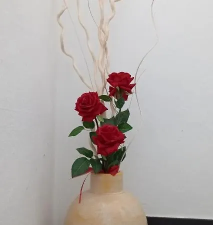 Locazione Mimosa Con Giardino Ostellato